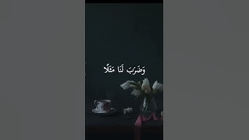 القرآن راحة النفسيه تلاوة خاشعة حالات واتس اب دينية