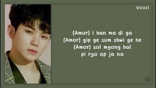 SEVENTEEN (96 Line) - Light a Flame (Easy Lyrics)