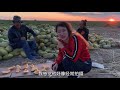 【多多其木格】132 蒙古族姑娘自駕新疆迷路,遇好心大叔收留,盛情難卻再喝兩杯？