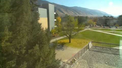 USU Ginkgo Tree - Timelapse of the leaves falling 2015
