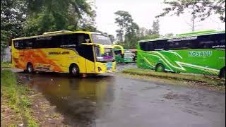 Download lagu TELOLET BASURI LINTANG ASMORO NIRMALA JAYA 🤩🎺🐯 #basuri