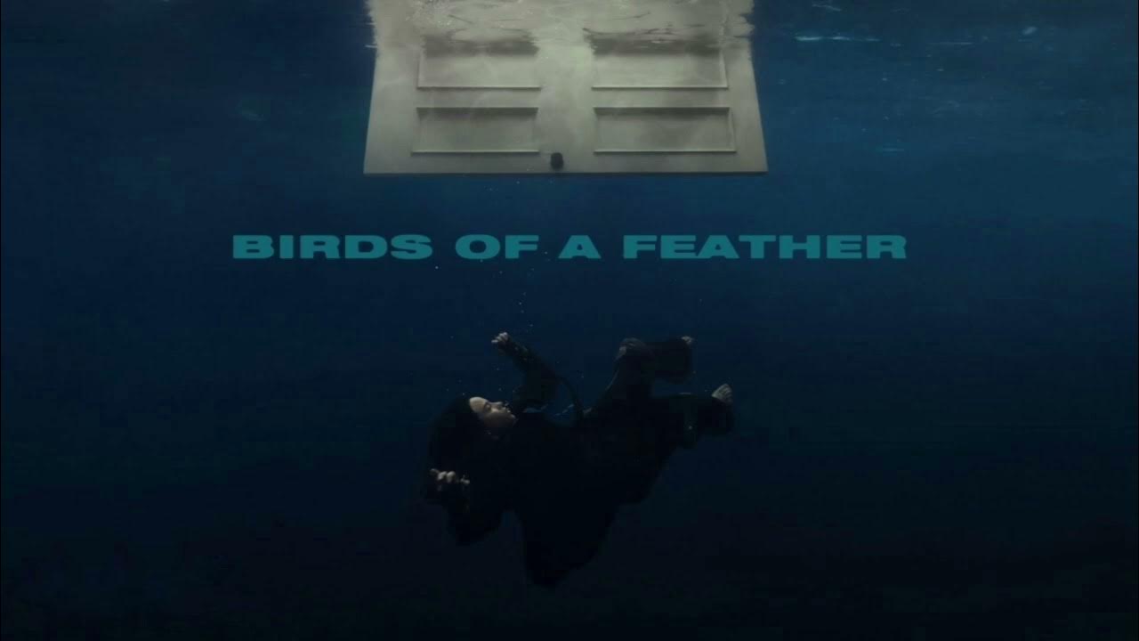 Billie Eilish - BIRDS OF A FEATHER (Piano Version) Billie Eilish - BIRDS OF A FEATHER (Piano Version)