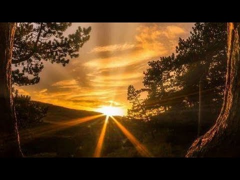 ACIM-D T-23.in.1-6 Chapter 23:The War Against Yourself. You can stop fighting now.
