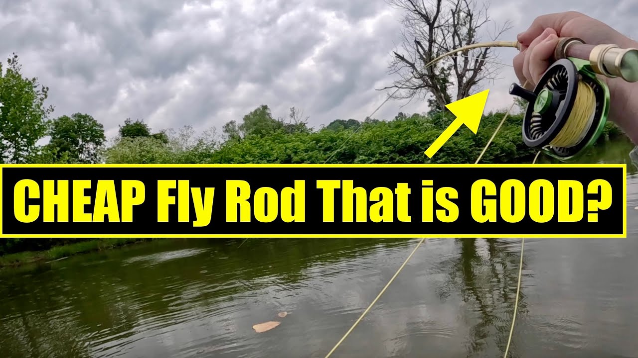 The Best Fly Rod For Beginners— Fly Fishing Eastern Kentucky 