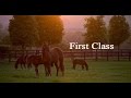 Documentary: "First Class" Yearling Race Horses Fly to Ireland aboard a Kalitta Air 747-400