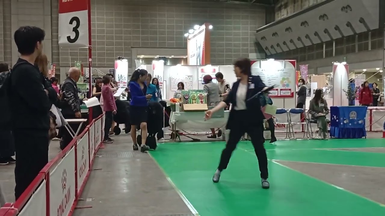 250328ロイヤルカナン・カップ2025　　スタンダードプードル