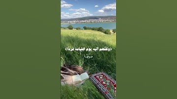 ﴿ وكُلهم آتِيه يومَ القِيامَة فرداً ﴾ سوره مريم، عبدالرحمن مسعد #قرآن #ارح_قلبك #قران_كريم