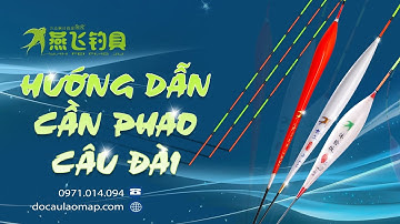 Chia Sẽ Cách Cân Phao Câu Đài Cho Cần Thủ Mới Nhập Môn