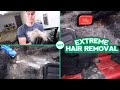 Deep Cleaning the HAIRIEST Honda Civic Si EVER | EXTREME Dog Hair Removal | Satisfying Car Detailing