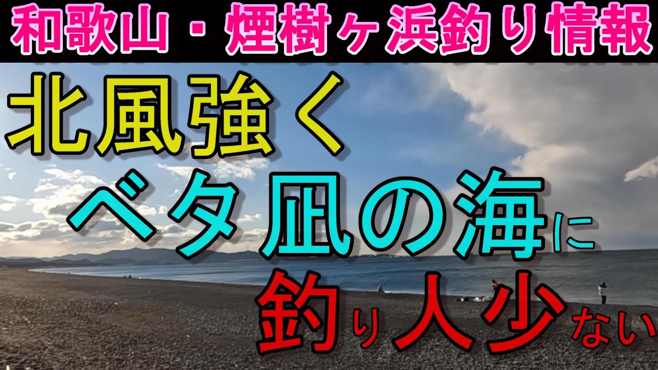 03-10　煙樹ヶ浜釣り情報・取材編【第1540回】北風が強く、海はベタ凪だが釣り人が少ない。 ＃遠投カゴ釣り #和歌山・釣り #煙樹ヶ浜