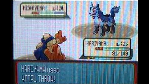 Pokemon ruby walkthrough part 28