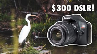 Is The Cheapest DSLR from Amazon Worth It? Canon T6 Review screenshot 4