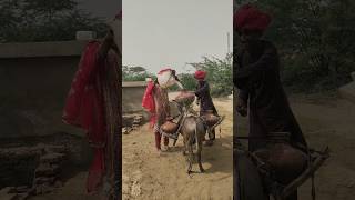 فتاة وولد مع الحمار والماء