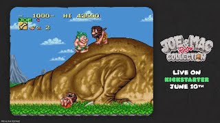 Amazon.com: Joe & Mac : Video Games