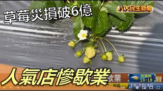 草莓災損破6億 人氣店慘歇業 |【民生八方事】| 2022122101 @gtvnews27