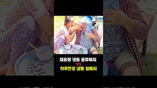 대용량 냉동 블루베리 vs 소포장 빌베리 뭐가 나을까?