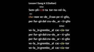 Vaccai Lesson 1 / Song # 2 / Semplicetta tortorella with easy to follow lyrics  (Soprano/Tenor)
