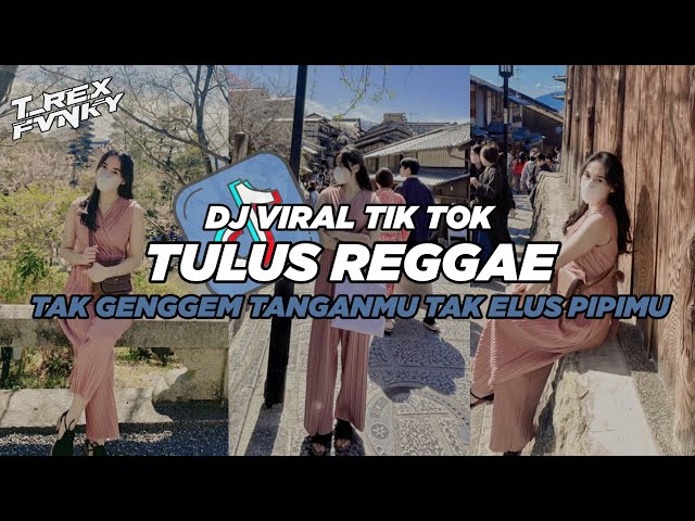 DJ TULUS REGGAE BY PANI FVNKY VIRAL TIK TOK 2024 (Slowed & Reverb) class=