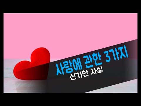 당신도 몰랐던 사랑에 관한 3가지 신기한 사실