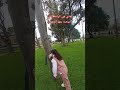 الفيديو 381 هادي هي الراحة اللتي يبحث عنها الجميع شوفوا الأجواء كيف دايرة في صومعة حسان 