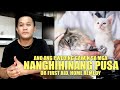 ANONG PWEDING GAWIN SA MGA NANGHIHINANG PUSA? OR FIRST AID HOME REMEDY SA MGA NANGHIHINANG PUSA!