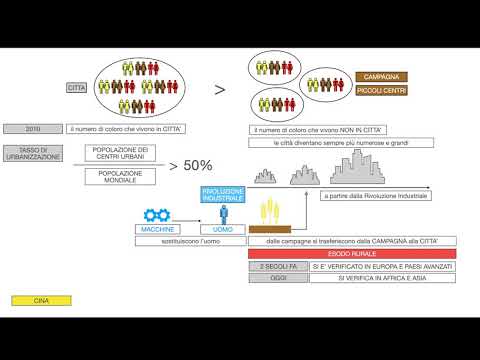 Video: Perché significa megalopoli?