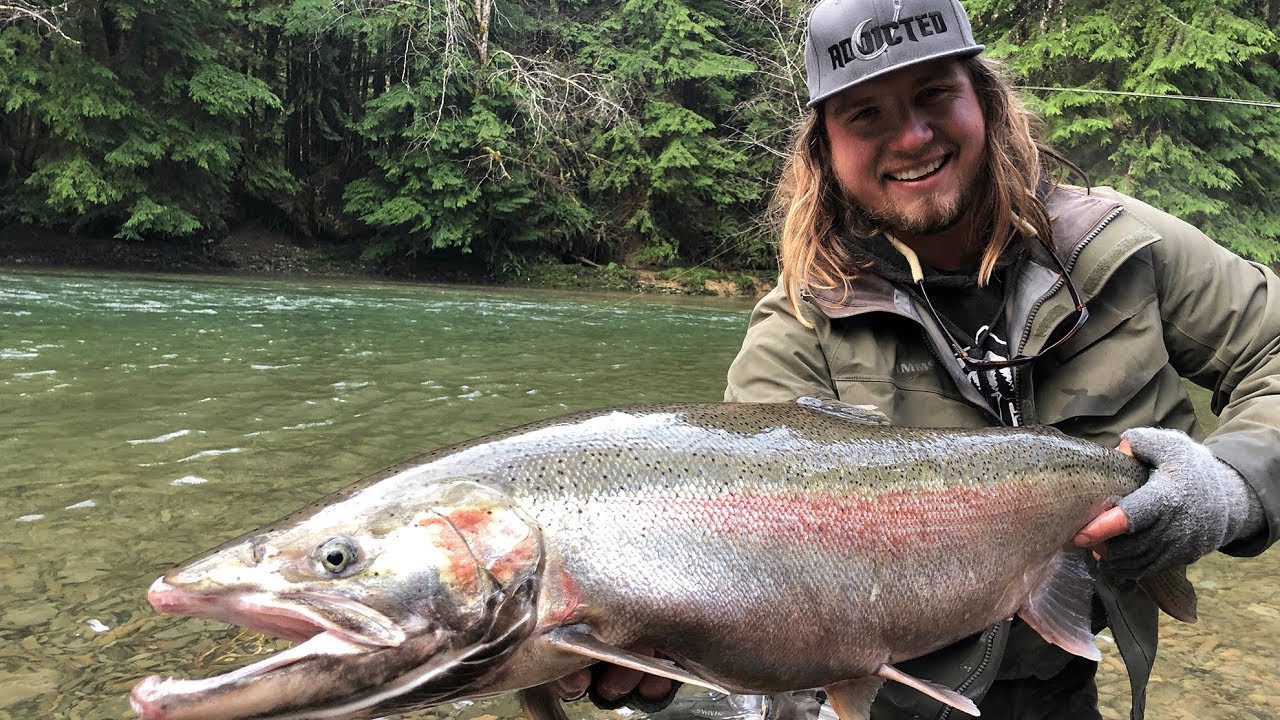 Multiple 20 Lb STEELHEAD Landed River Fishing!