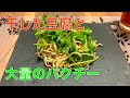 中華食材「豆腐干絲」でパクチーたっぷりのサラダを作ってみた！