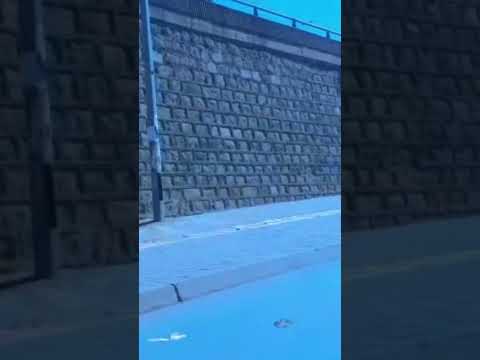 7 January 2023  7 January 2023