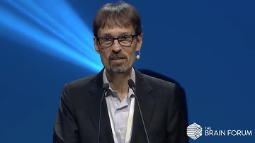 Mapping, modelling and decoding the human brain, Prof. Jack Gallant