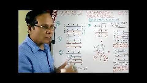 XII Bio Botany and Botany Chapter 3 Chromosomal basis of inheritance  Recombination  Video  6