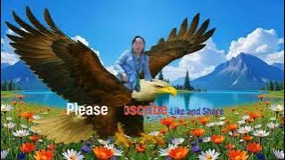 Taug kev lwj siab hla kev txom nyem iab siab mus ntsib VAJTSWVYESXUS thiaj dim plaws lawm,10/05/2025