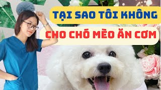 Tại sao tôi không cho chó mèo ăn cơm nữa - Bí quyết chăm sóc lông chó mèo