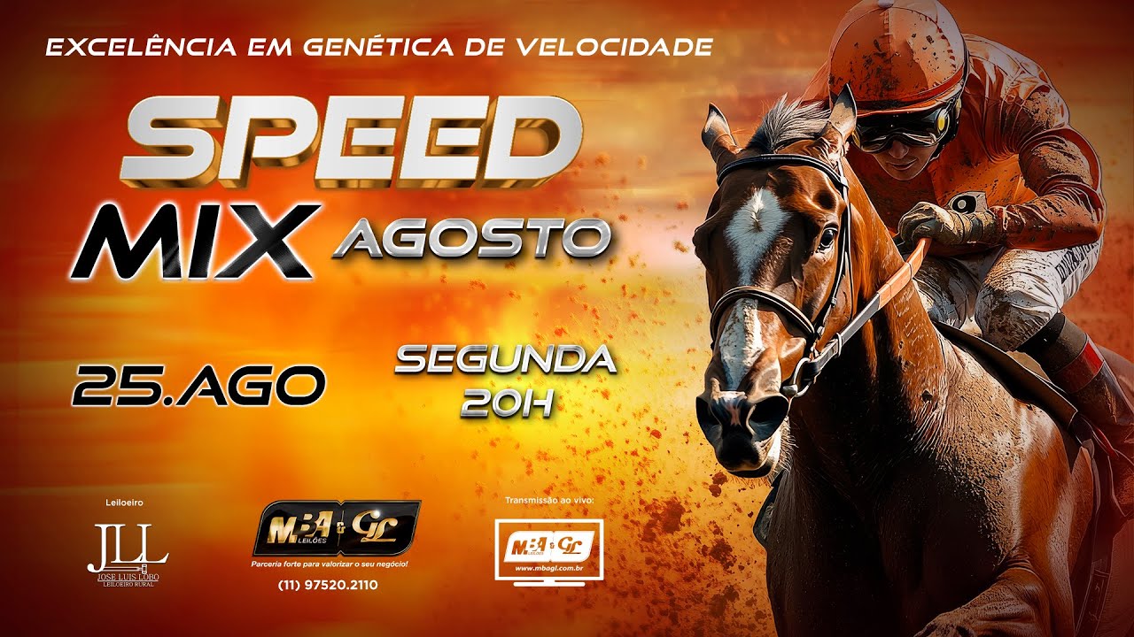 Leilão Virtual Speed Mix Agosto