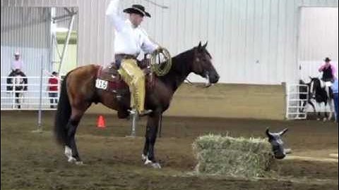 ARHA World Show 2012 Jr Horse Trail  - Steve Lantvit and Smokin Isle Drifter