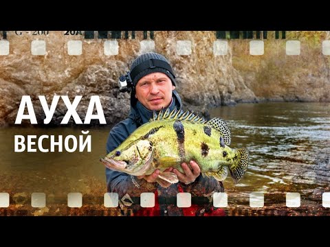 Ауха весной (река Амур)