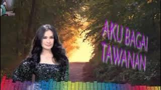 AKU BAGAI TAWANAN