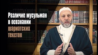 Различие Мусульман В Осознании Шариатских Текстов