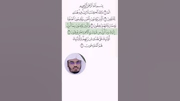 سورة البقرة (١-٥) |ياسر الدوسري