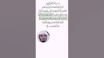 سورة البقرة ١ ٥ ياسر الدوسري 