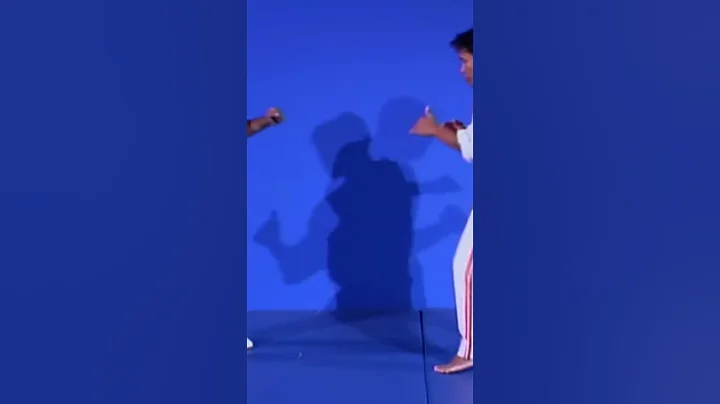 REAR LEG SNAP KICK TAE KWON DO