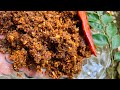 ഉണക്ക ചെമ്മീൻ ചമ്മന്തി എളുപ്പത്തിൽ| Konju Chammanthi| Unakka chemmeen Chammanthi|Foodies vlogs|Ep-59