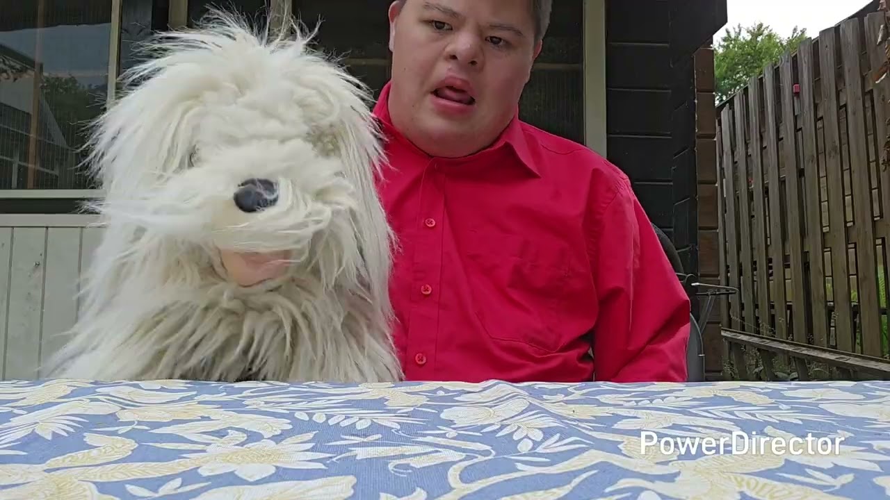 Samson & Sebas De Liedjes Van 30 Jaar 