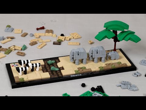 Building Biomes 1 • Savanna