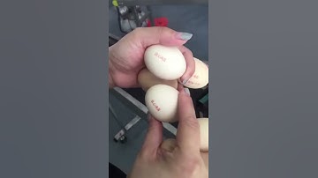 Handheld inkjet printer use for printing on safe food egg with batch code / expiry date