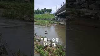 건강힐링6.산책. 걷기