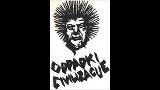 Odpadki Civilizacije - Mladina ( 1983 Yugoslav Raw Hardcore Punk )