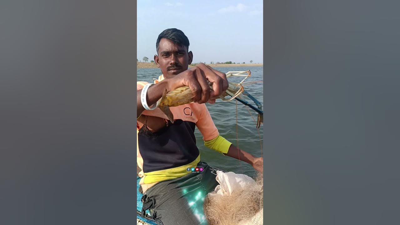 ️ Osm Zinga Fishing 🎣fisher777 zinga fishing traditional jhinga 