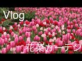 Vlog 平塚花菜ガーデン