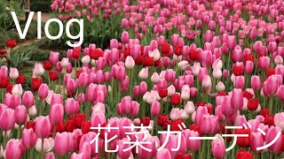 Vlog 平塚花菜ガーデン